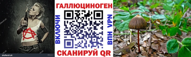 где можно купить наркотик  Малоярославец  нарко площадка официальный сайт  Галлюциногенные грибы прущие грибы 